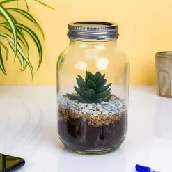 Ditverzinjeniet Verlichting|Lichtgevend terrarium