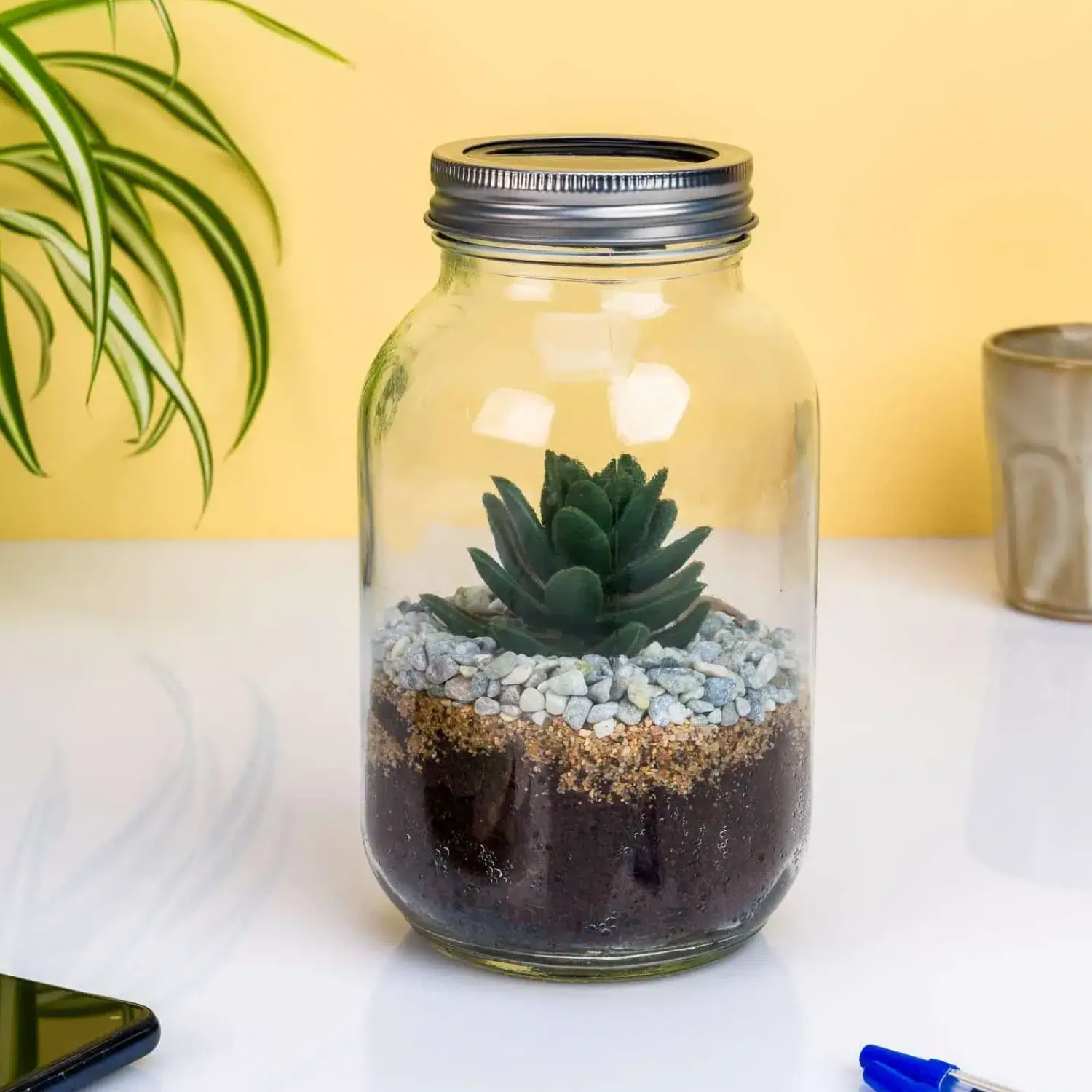 Ditverzinjeniet Verlichting|Lichtgevend terrarium