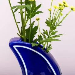 Ditverzinjeniet Vazen|Maan vaas