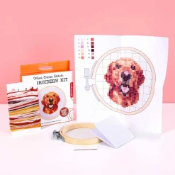 Ditverzinjeniet Diy|Mini borduurset