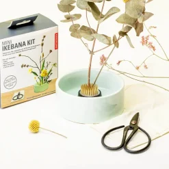 Ditverzinjeniet Vazen|Mini Ikebana set