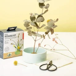 Ditverzinjeniet Vazen|Mini Ikebana set