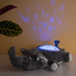 Ditverzinjeniet Verlichting|Olifant projector