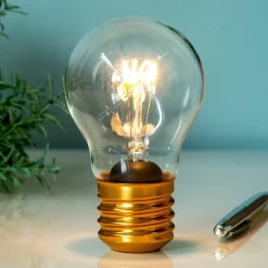 Ditverzinjeniet Verlichting|Oplaadbare LED filament lamp