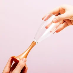 Ditverzinjeniet Mokken & Glazen|Outdoor proseccoglazen (set van 2)