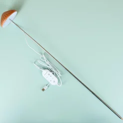 Ditverzinjeniet Verlichting|Paddenstoel plantenlamp