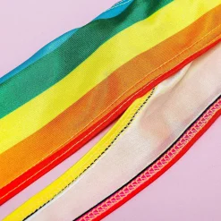 Ditverzinjeniet Vrijgezellenfeestjes|Regenboog mankini