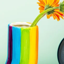 Ditverzinjeniet Vazen|Regenboog vaas