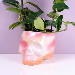 Ditverzinjeniet Boekensteunen|Schedel bloempot