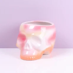 Ditverzinjeniet Boekensteunen|Schedel bloempot