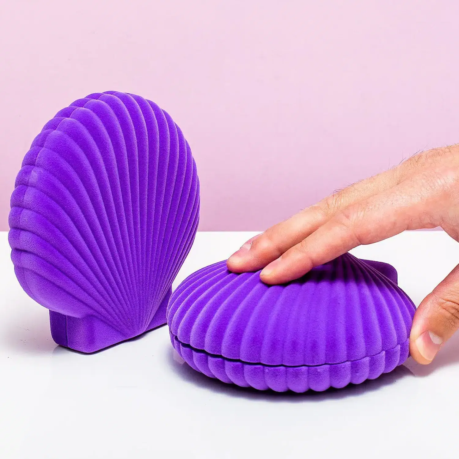 Ditverzinjeniet Tropisch|Sieradenhouders|Schelp sieradendoosje