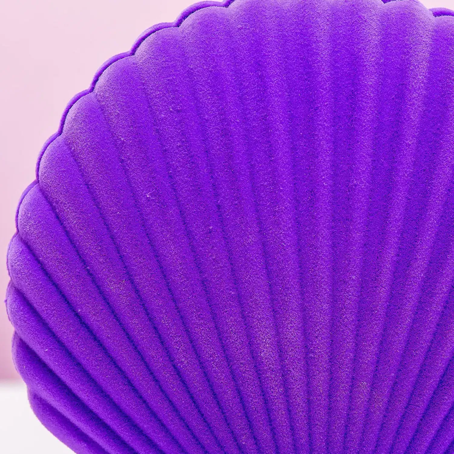 Ditverzinjeniet Tropisch|Sieradenhouders|Schelp sieradendoosje