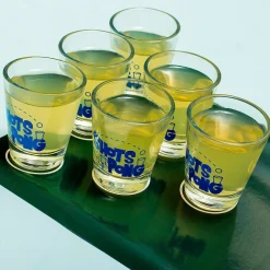 Ditverzinjeniet Drankspelletjes|Vrijgezellenfeestjes|Shots Pong drankspel