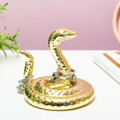 Ditverzinjeniet Sieradenhouders|Slang ringhouder