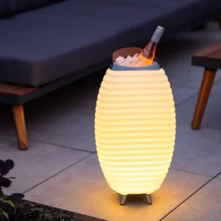 Ditverzinjeniet Muziek|Synergy 50 lamp en speaker