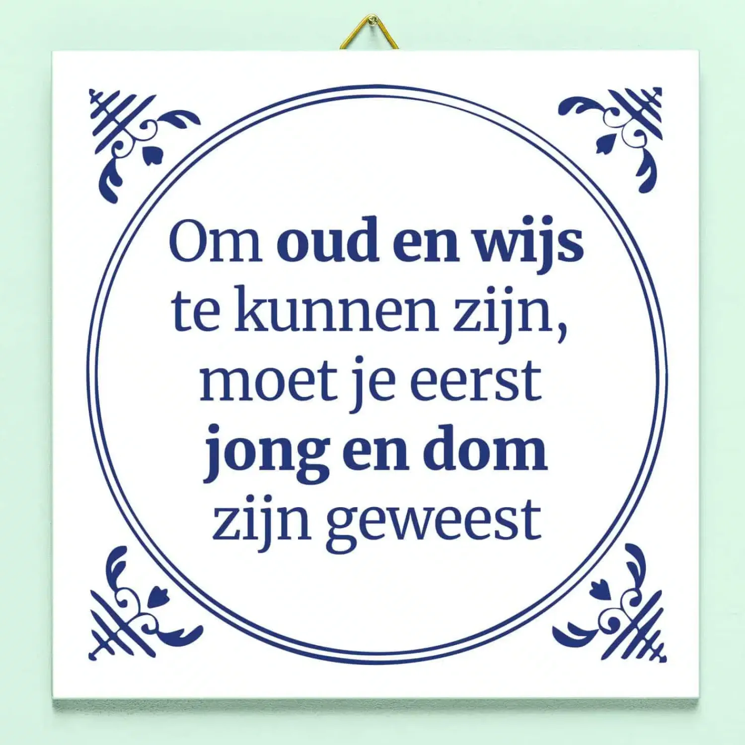 Ditverzinjeniet Tegeltjes|Tegeltje Jong en dom