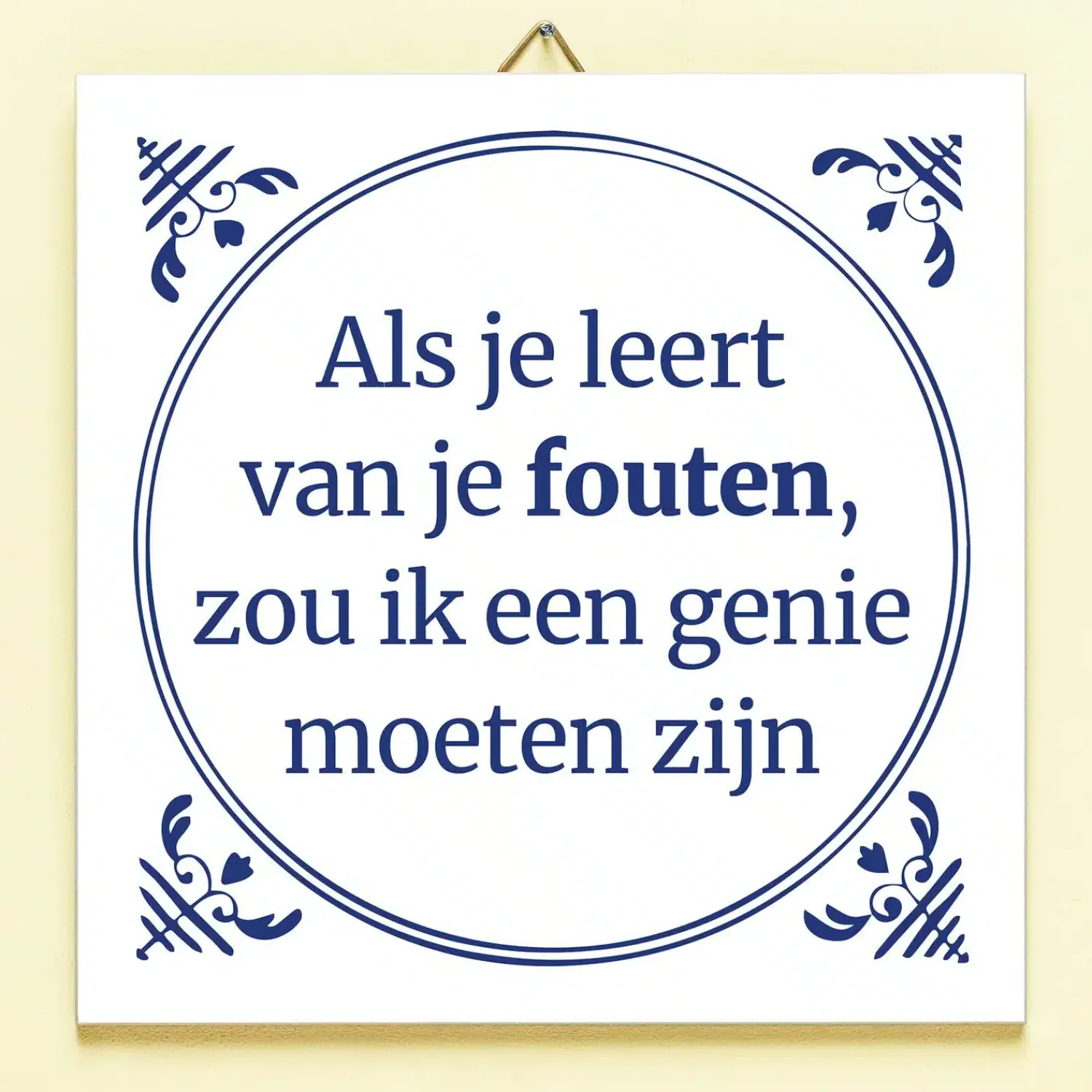 Ditverzinjeniet Tegeltjes|Tegeltje Leren van je fouten