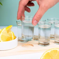 Ditverzinjeniet Drankspelletjes|Borrelen|Tequila set op serveertray