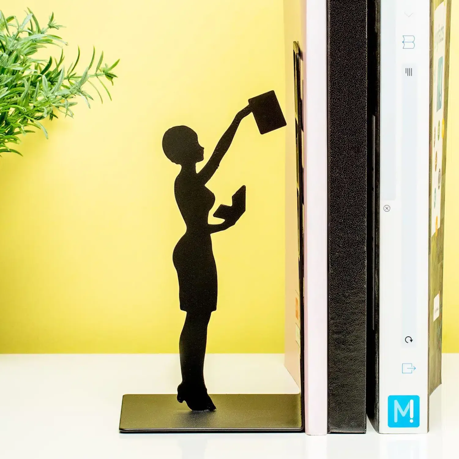 Ditverzinjeniet Boekensteunen|The Library Boekensteun