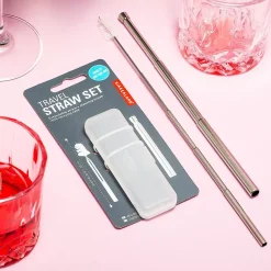 Ditverzinjeniet Reizen|Duurzaam|Uitschuifbaar rvs rietje in reisverpakking