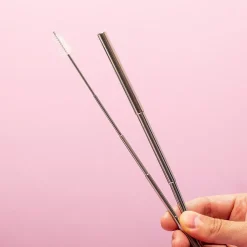 Ditverzinjeniet Reizen|Duurzaam|Uitschuifbaar rvs rietje in reisverpakking