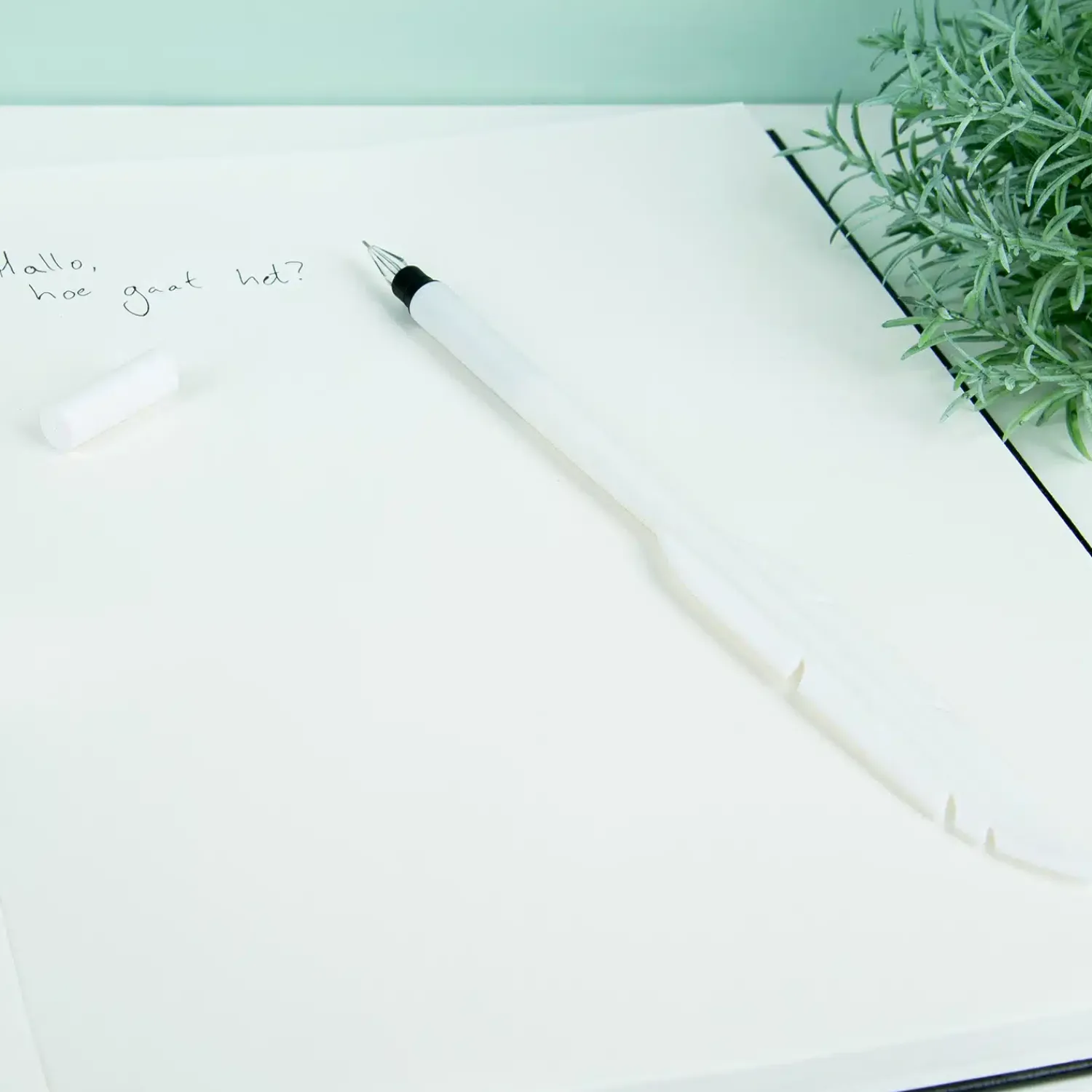 Ditverzinjeniet Kantoor|Veer pen