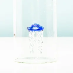 Ditverzinjeniet Duurzaam|Waterfles