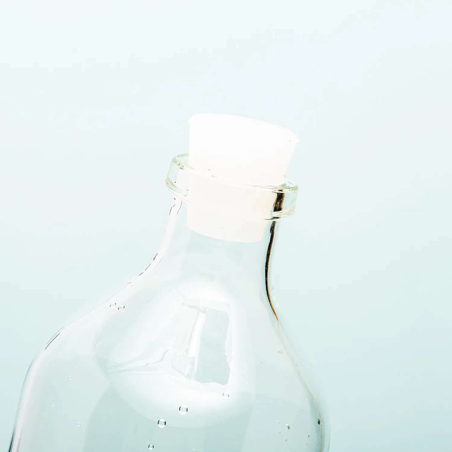 Ditverzinjeniet Duurzaam|Waterfles