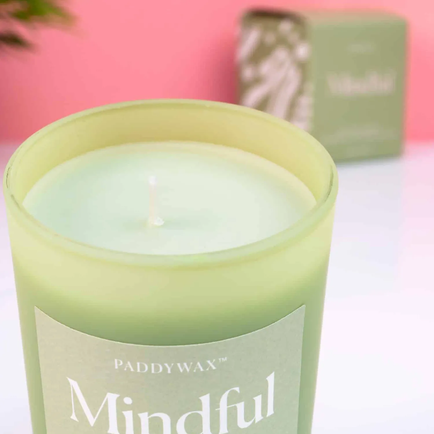 Ditverzinjeniet Kaarsen En Kandelaars|Wellness geurkaars