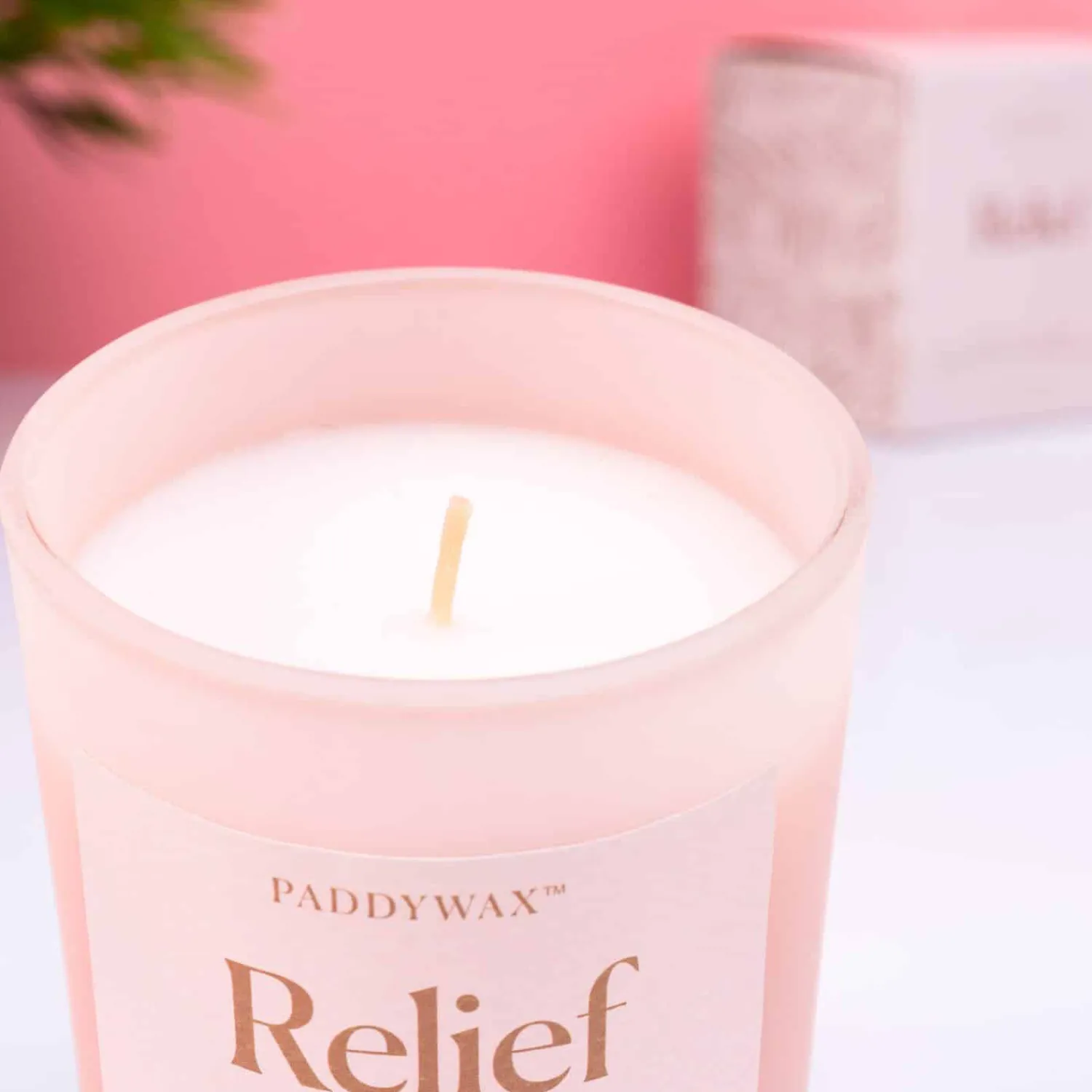 Ditverzinjeniet Kaarsen En Kandelaars|Wellness geurkaars