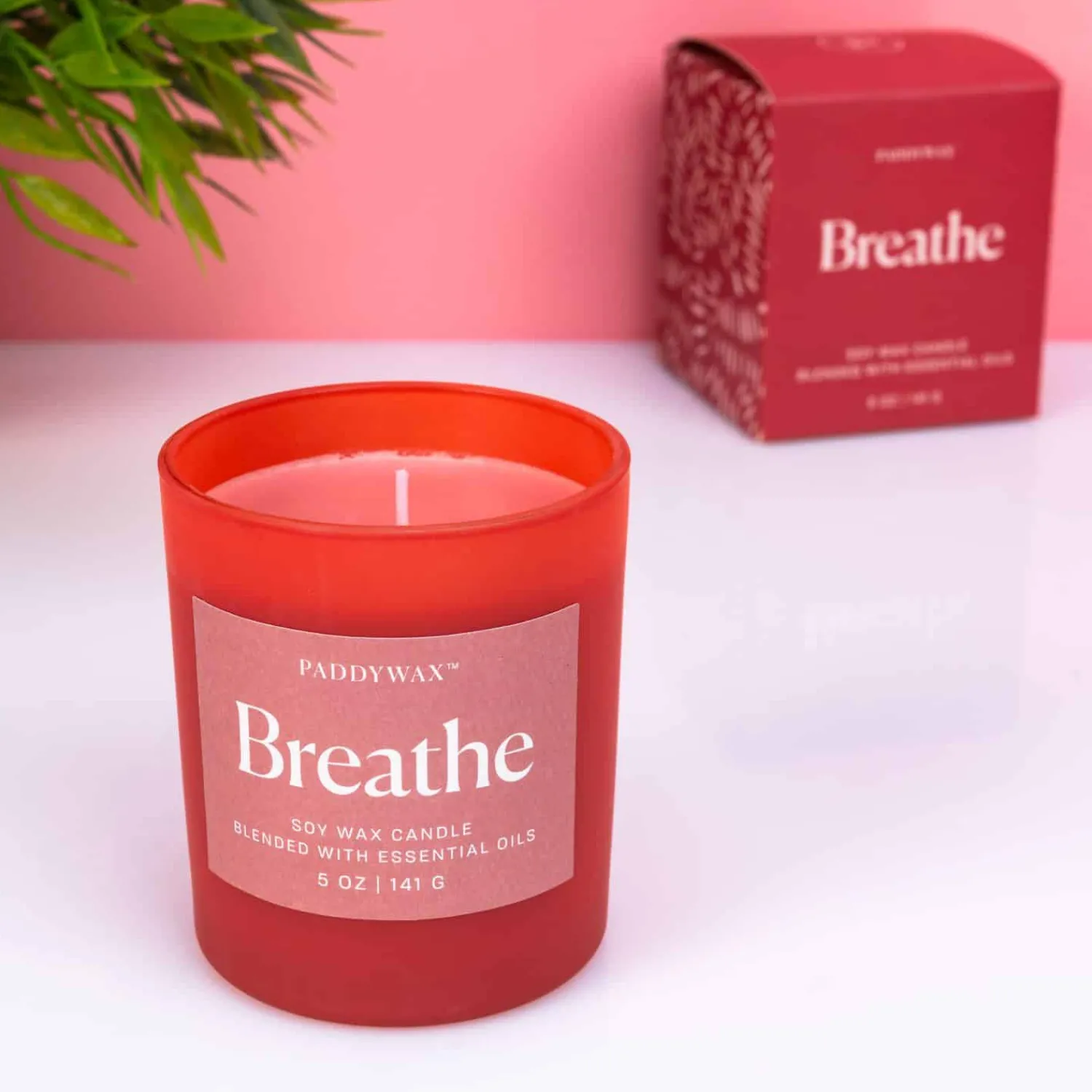 Ditverzinjeniet Kaarsen En Kandelaars|Wellness geurkaars