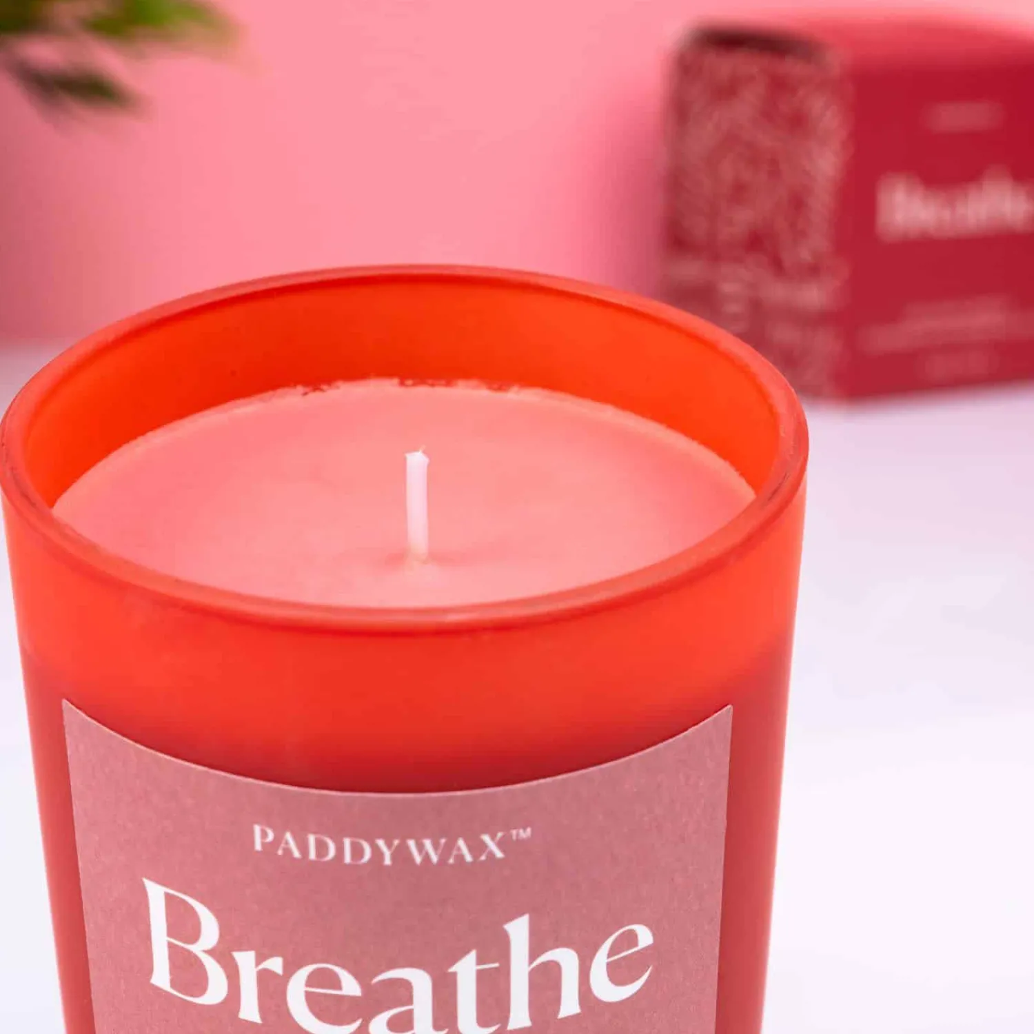 Ditverzinjeniet Kaarsen En Kandelaars|Wellness geurkaars